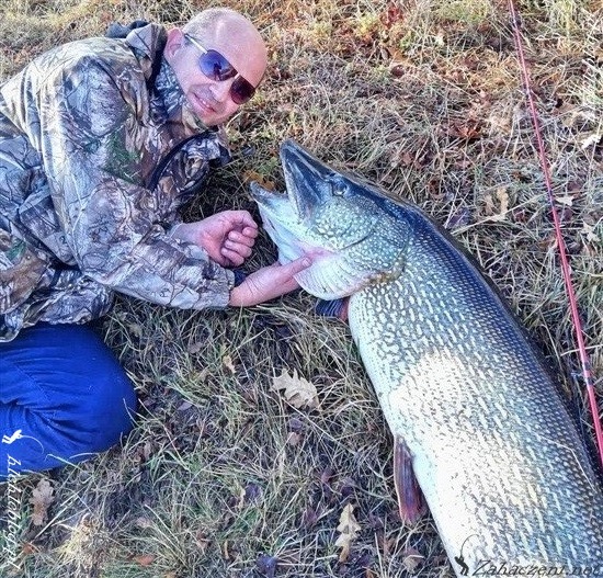 World Record Pike 25.3 kg and 140 cm - interview with Petar Filipov -  Hlehle Blog